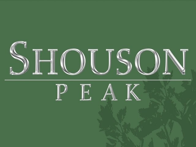 寿臣山Shouson Peak