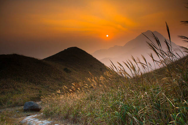 Sunset with Grasses