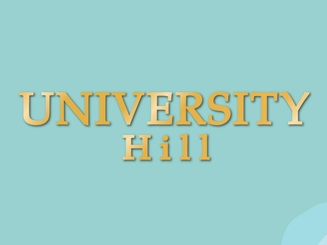 大埔University Hill 2B期