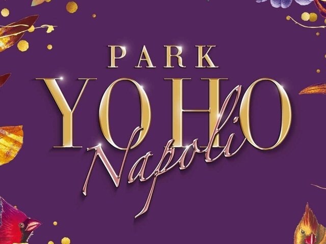 Park Yoho Phase 2B Napoli, Kam Tin