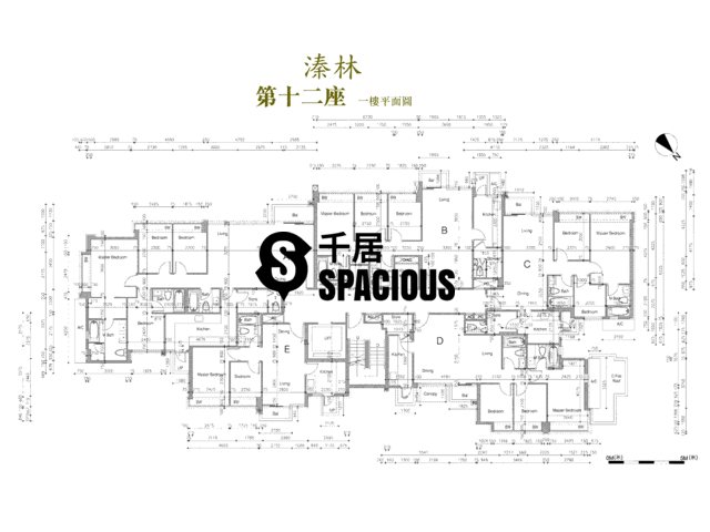 Hung Shui Kiu - The Woodsville Floor Plan 62