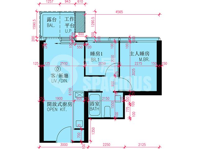 啟德 - 維港・雙鑽2B座 平面圖 05