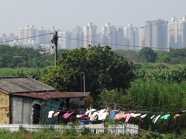Lo Wu