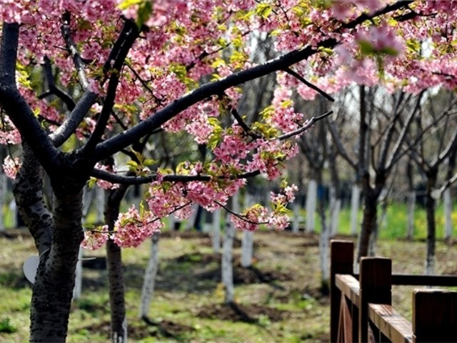 Baoshan