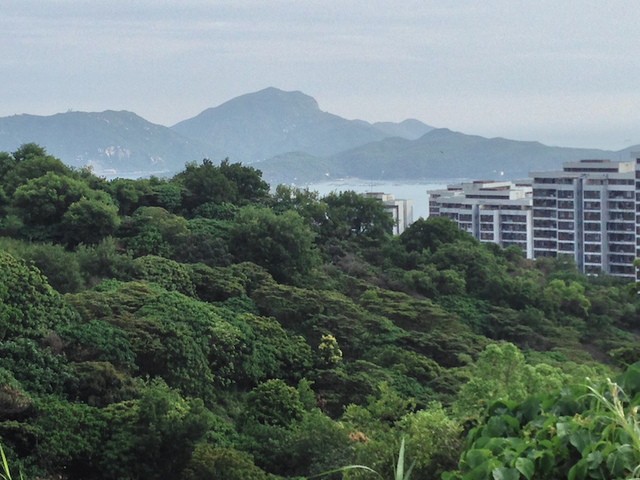 Pok Fu Lam