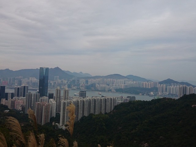 Jardines Lookout