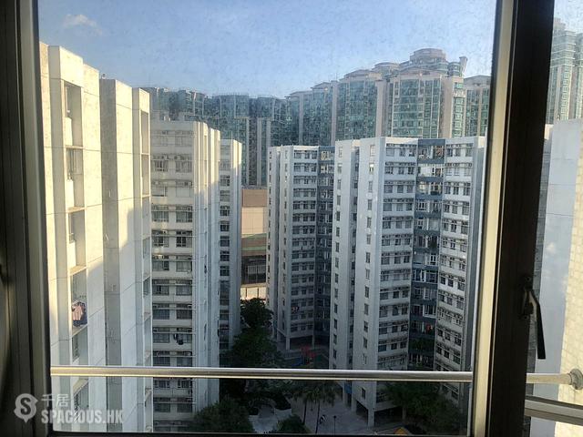 Whampoa Garden - Whampoa Garden Phase 4 Palm Mansions 01