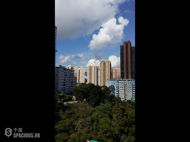 North Point - Fu King Court 01