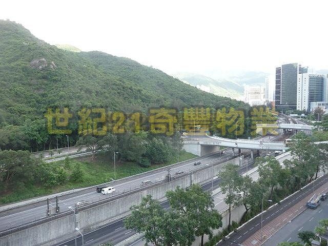 Sha Tin - Pictorial Garden Phase 3 01