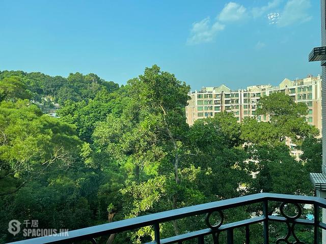 Tai Po - Classical Gardens 01