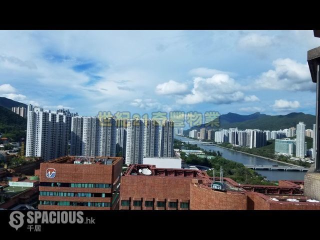 Sha Tin - New Town Plaza 01