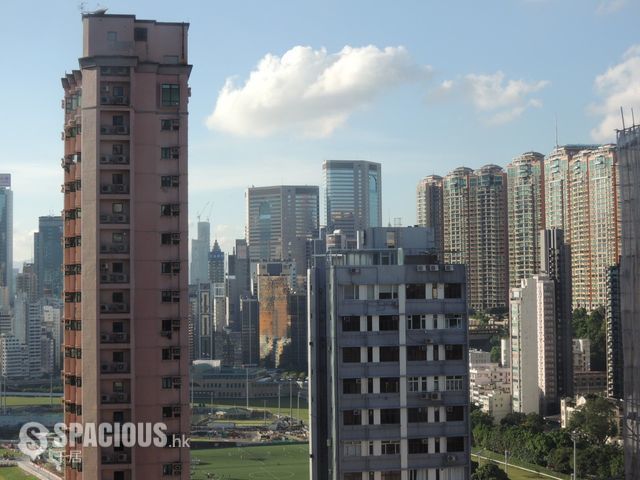 Happy Valley - May Garden 01