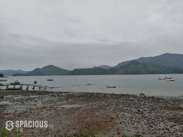 馬鞍山 - 樟木頭 01