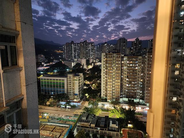Tai Po - Fortune Plaza Wah Cheong Court (Block 4) 01