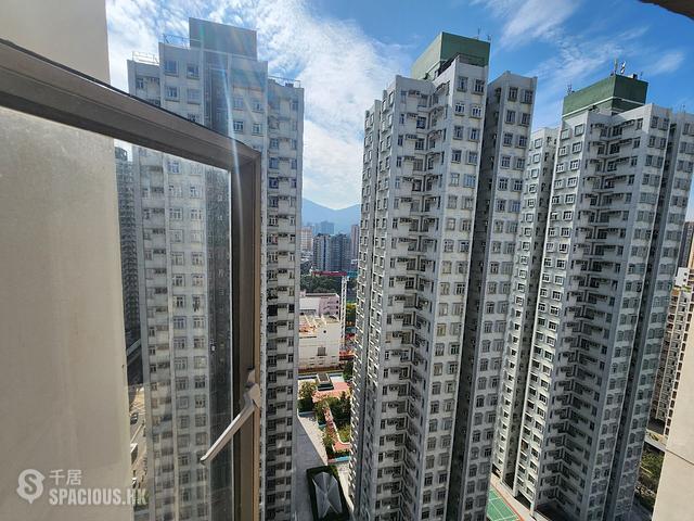 Tai Po - Jade Plaza 01