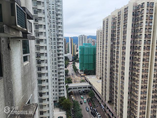 Tai Po - Tai Po Centre Phase 1 01