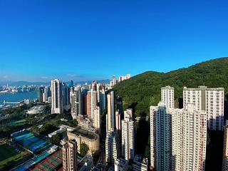 Tai Hang - Warrenwoods 02