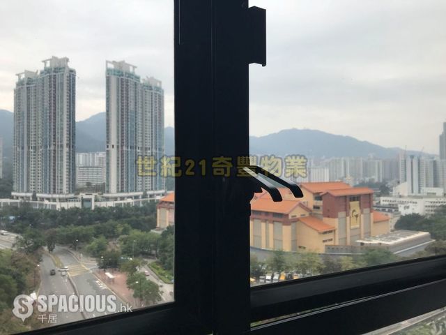 Sha Tin - Scenery Court 01