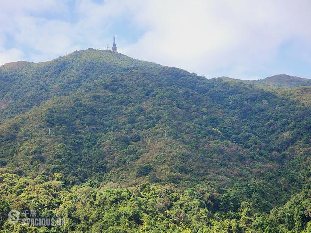 Tai Po - Mont Vert 01