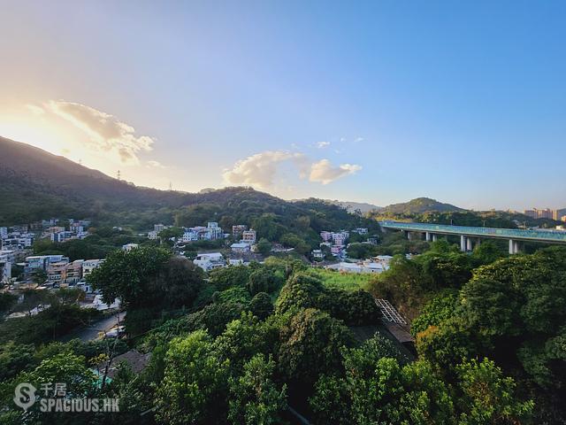 Tai Po - The Regent 01