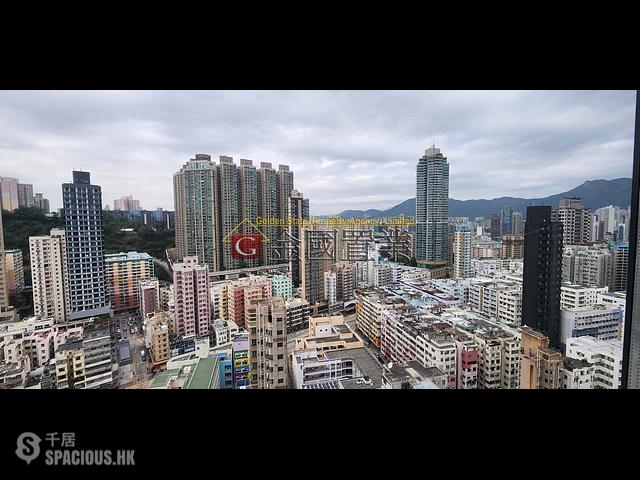 To Kwa Wan - Artisan Garden 01