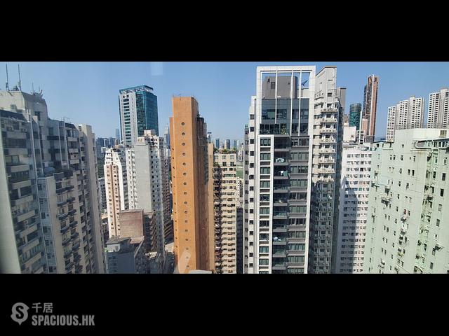 跑马地 - 山光道8号 07