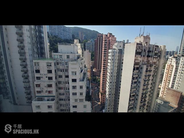 跑马地 - 山光道8号 09