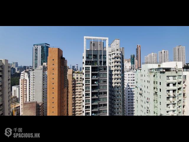 跑马地 - 山光道8号 11