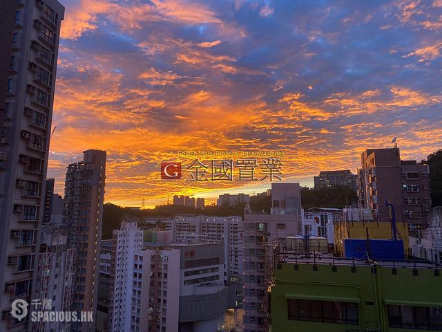 Cheung Sha Wan - Heya Delight 01