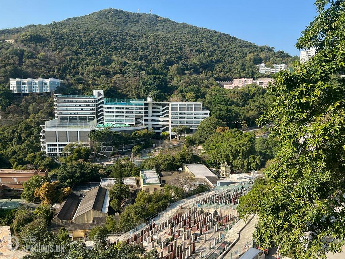 Pok Fu Lam - Cherry Court 01