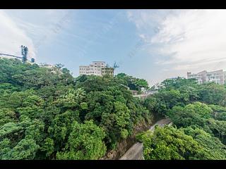 山顶 - 马己仙峡道26号 02