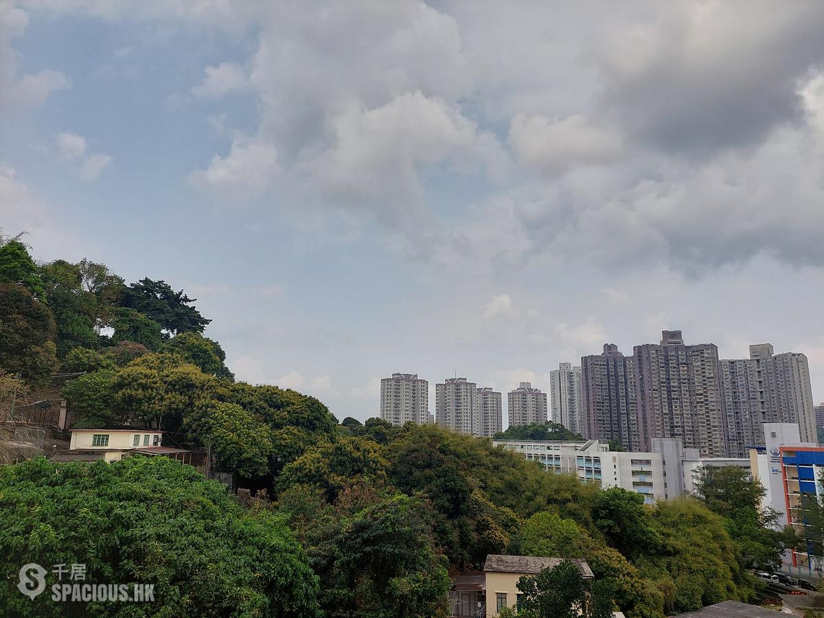 Tai Po - Classical Gardens Phase 3 Dynasty View 01