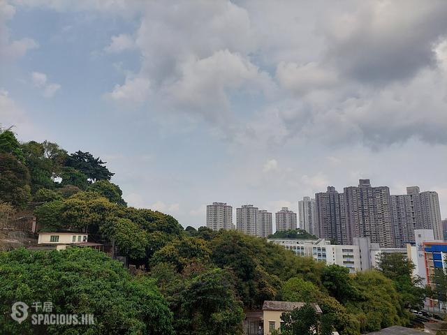 Tai Po - Classical Gardens Phase 3 Dynasty View 01