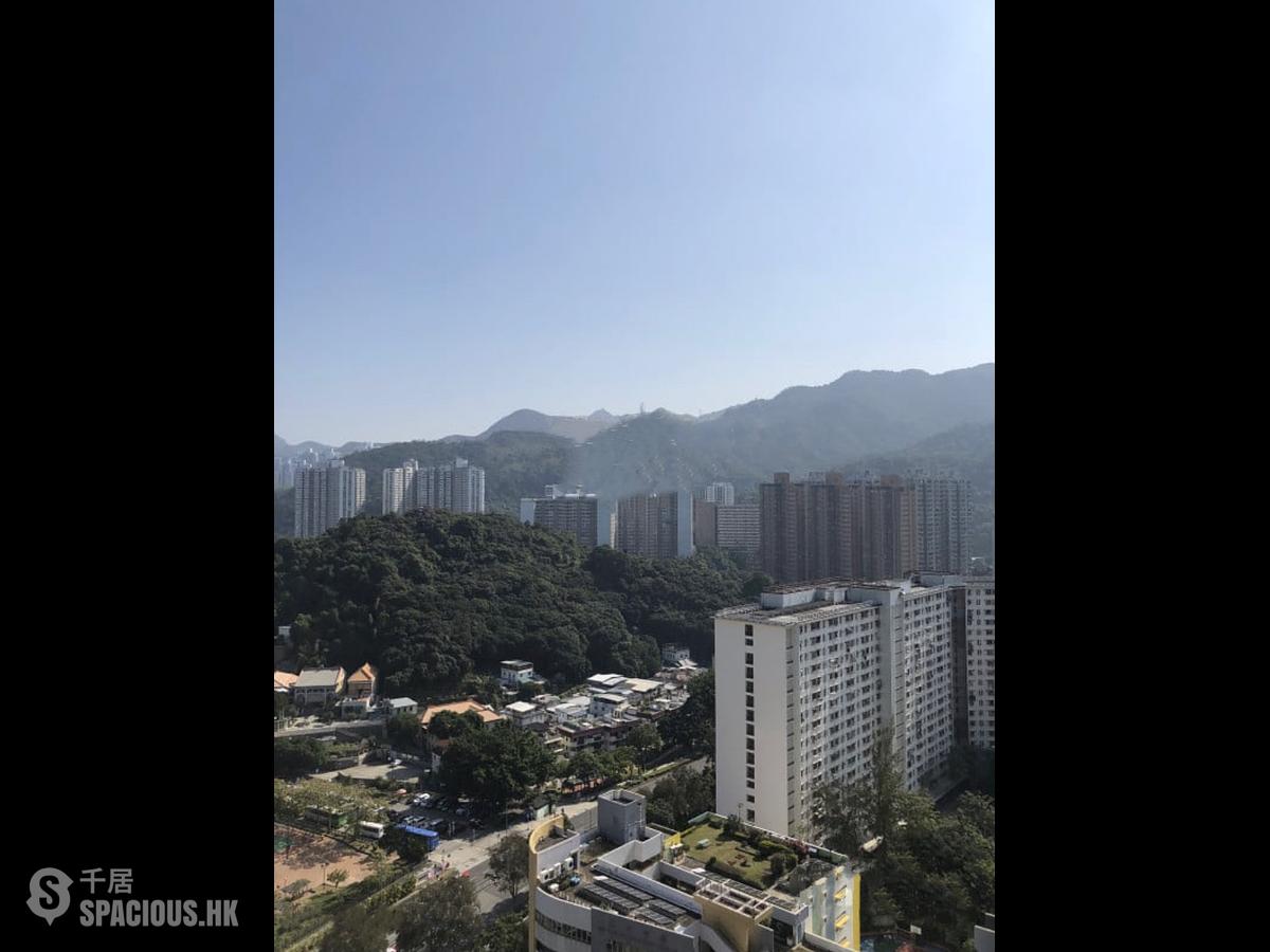 Tai Wai - The Pavilia Farm Phase 1 01