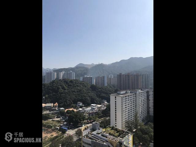 大围 - 柏傲庄1期 01