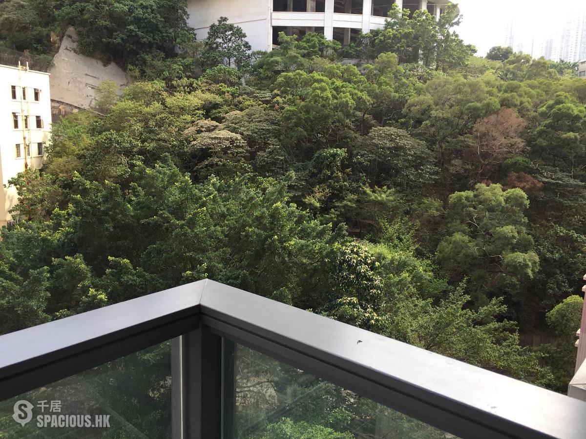 Tai Hang - Warrenwoods 01