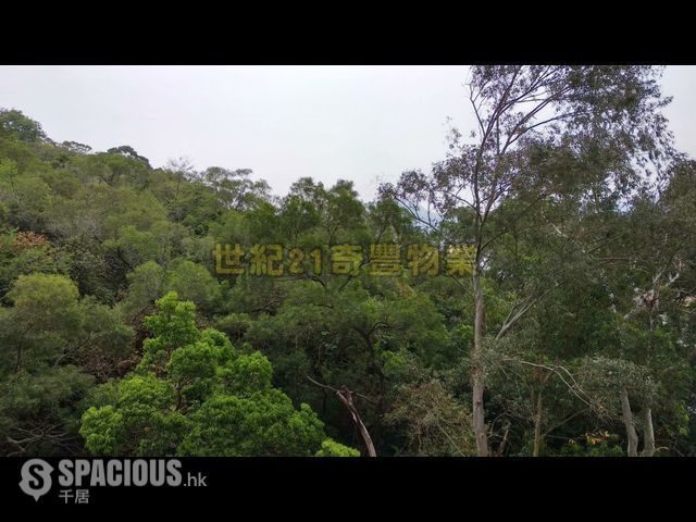 Tai Wai - The Great Hill 01