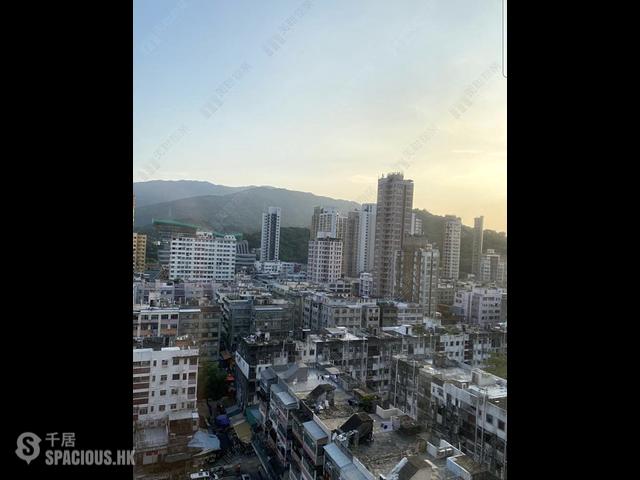 大埔 - 宝湖花园 01