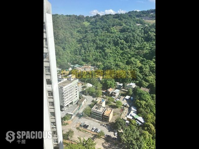 粉岭 - 华明村 01