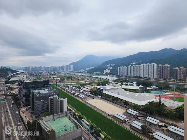 火炭 - 御龍山 01