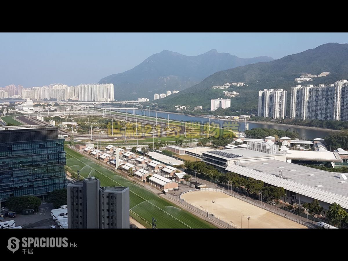 火炭- 御龙山 01