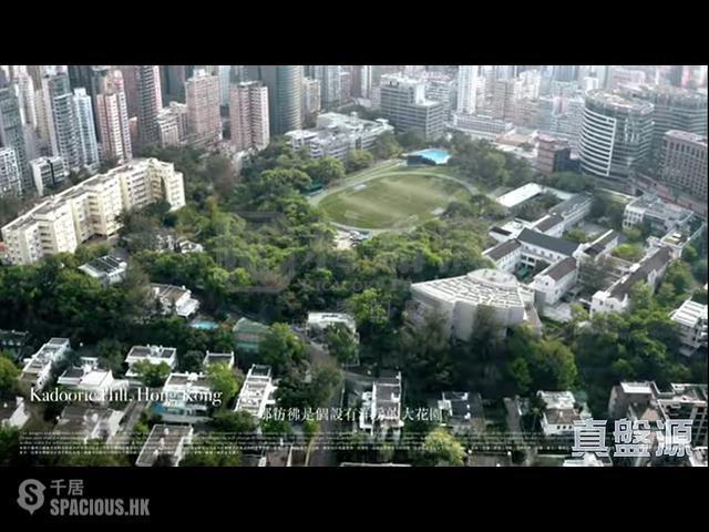 Ho Man Tin - St. George's Mansions Tower 1 01