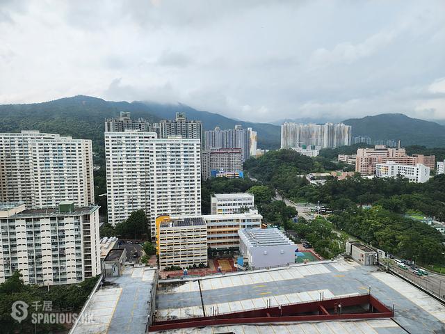 Tai Po - Tai Po Centre 01