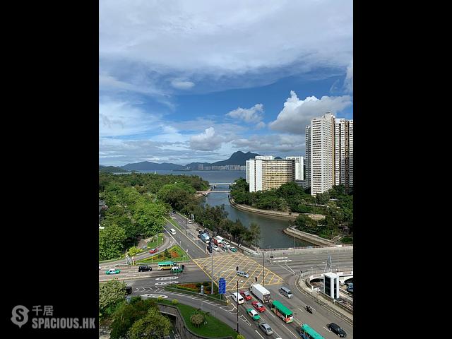 Tai Po - Tai Po Centre 01