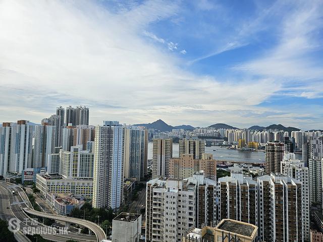 Shau Kei Wan - Lime Gala Block 2 01