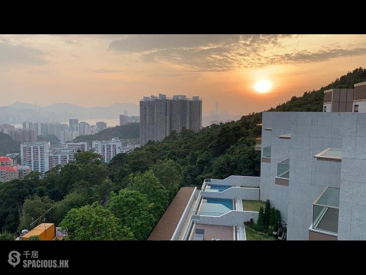 清水灣 - 飛鵝山道3號 01