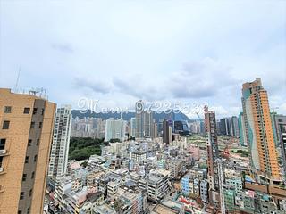 Kowloon City - The Avery 11