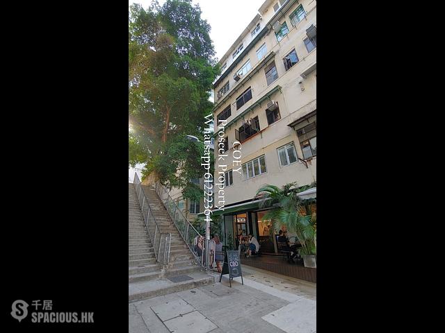 Poho - 8, Tai On Terrace 37