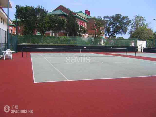 Stanley - Stanley Knoll 13