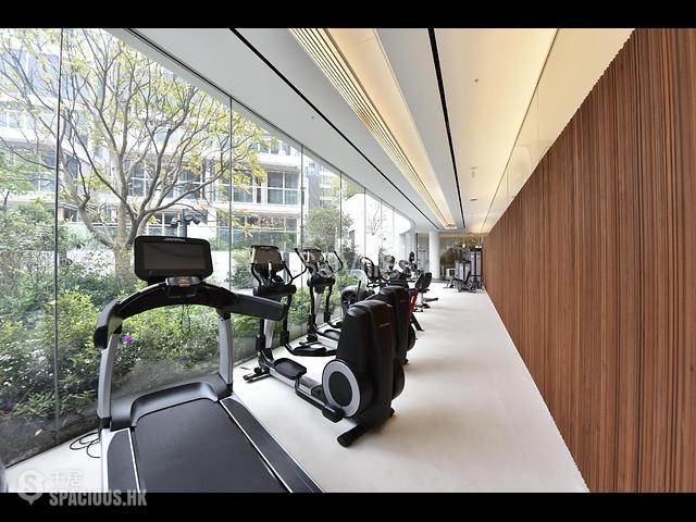 Clear Water Bay - Mount Pavilia 13